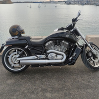 Harley Davidson Vrod Muscle