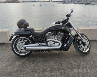 Harley Davidson Vrod Muscle