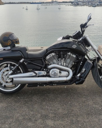 Harley Davidson Vrod Muscle