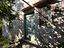 Immagine 20