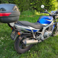 Suzuki gs500
