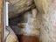 Immagine 11