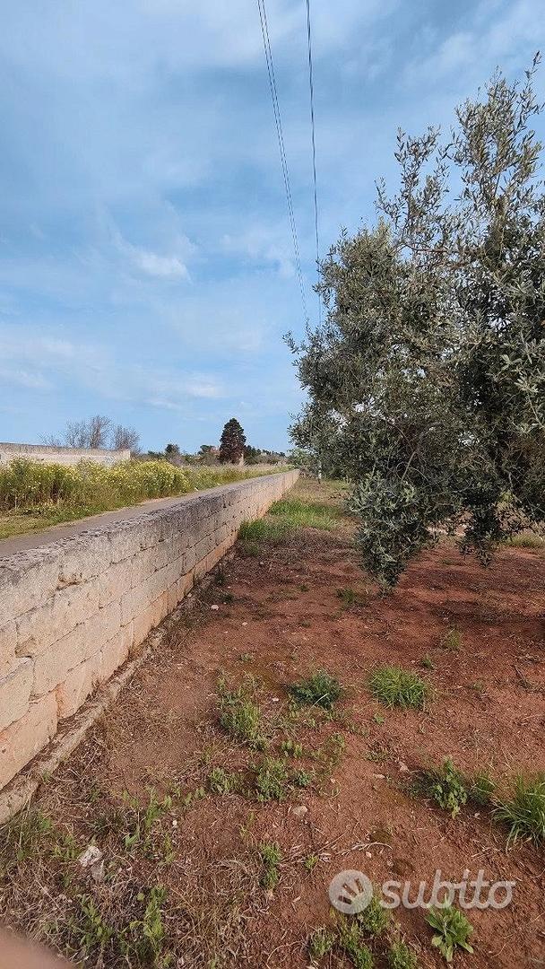 Terreno agricolo - Vista 5