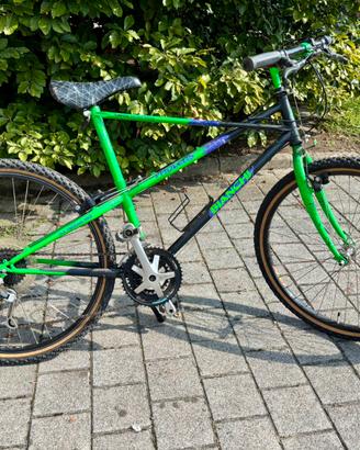Bianchi Ragno Pholcus – MTB (Sellino originale)