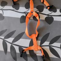 pettorina e guinzaglio mis.S colore arancione 