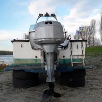 evinrude 90cv 
