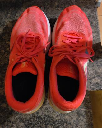 scarpe da palestra 