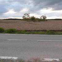 Basilicata TERRENO agricolo ha 4