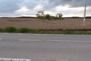 Basilicata TERRENO agricolo ha 4