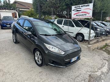 Ford Fiesta 1.5 TDCi 75CV 5 porte Titanium