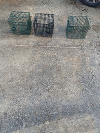 gabbie per uccelli da richiamo