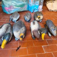 stampi di anatre in plastica 