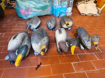 stampi di anatre in plastica 