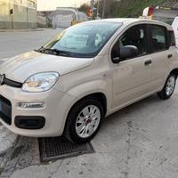 FIAT PANDA 1.2 NEOPATENTATI