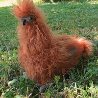 Moroseta fatte a mano