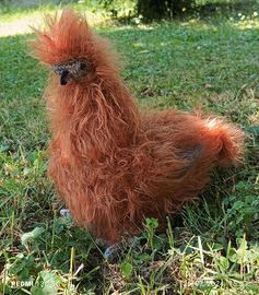 Moroseta fatte a mano