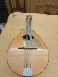 mandola