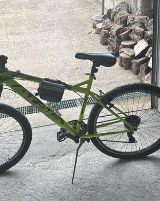 Bicicletta atala