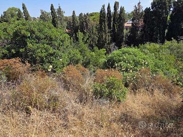 Terreno edificabile a Capoterra
