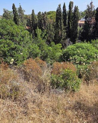 Terreno edificabile a Capoterra