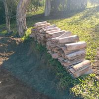 TEGOLE ANTICHE (COPPI SARDI)