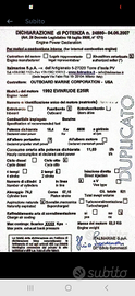 Furibordo Motore 1992 EVINRUDE E25IR