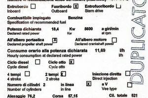 Furibordo Motore 1992 EVINRUDE E25IR