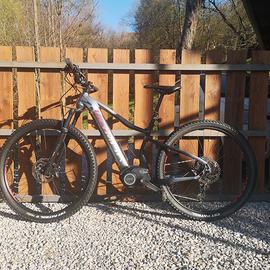 e bike
