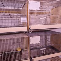 Gabbie da cova con laterali in plastica