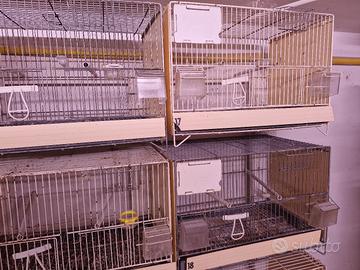 Gabbie da cova con laterali in plastica