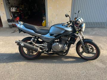 Kawasaki ER 5