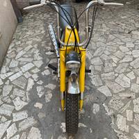 Benelli Minibike