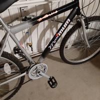Mountan-bike uomo