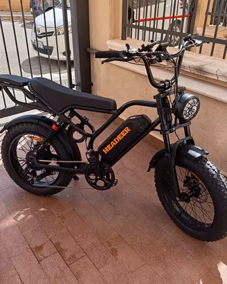 bicicletta elettrica 
