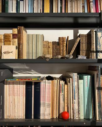 + RITIRO INTERE BIBLIOTECHE, LIBRI