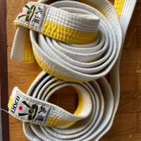 Cinture karate
