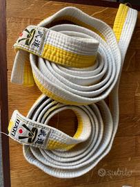 Cinture karate