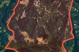 Terreno agricolo e boschivo 95 ettari