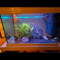 Acquario  completo grande  150 litri