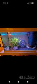 Acquario  completo grande  150 litri