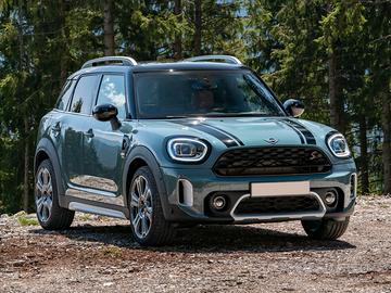 Ricambi Mini Countryman 