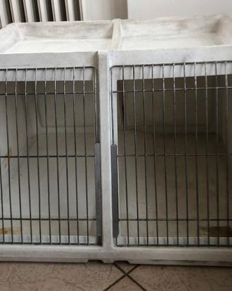 Kennel per cani con divisorio