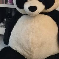 Panda Peluche gigante