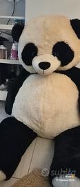 Panda Peluche gigante