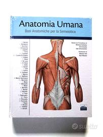 Anatomia Umana 1 Prometheus - EdiSES Università