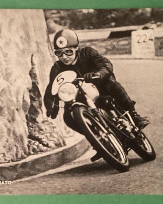 LAVERDA MOTO - APOLLONI RENATO PILOTA MOTO LAVERDA