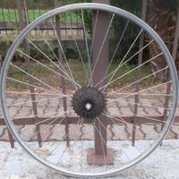 ANT E POST A 6 RAPPÒRTI