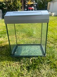 Acquario per pesci