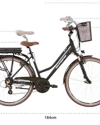 Bicicletta elettrica