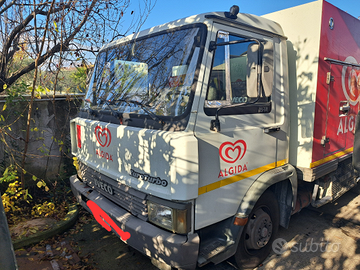 Iveco 65 E 12 6 Cilindri Cordero